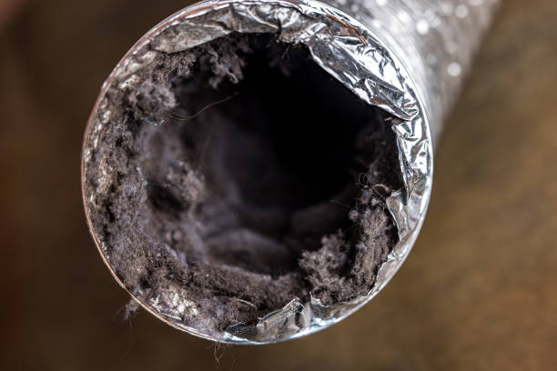 Best Affordable HVAC Duct Cleaning  in Bellwood, PA